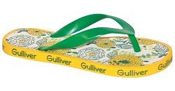   gulliver -   